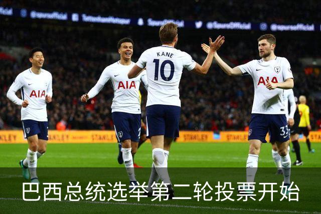 巴西总统选举第二轮投票开始